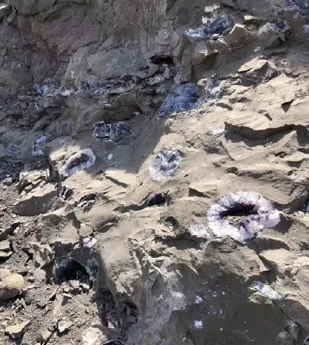 紫水晶洞是天然形成的还是人工做出来的?我来告诉你紫晶洞是怎么长出来的 resize,m fill,h 492,w 440 - 紫水晶洞是天然形成的还是人工做出来的?我来告诉你紫晶洞是怎么长出来的